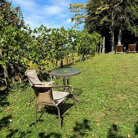 Ferienhaus Panorama - Gamlitz Exterior photo