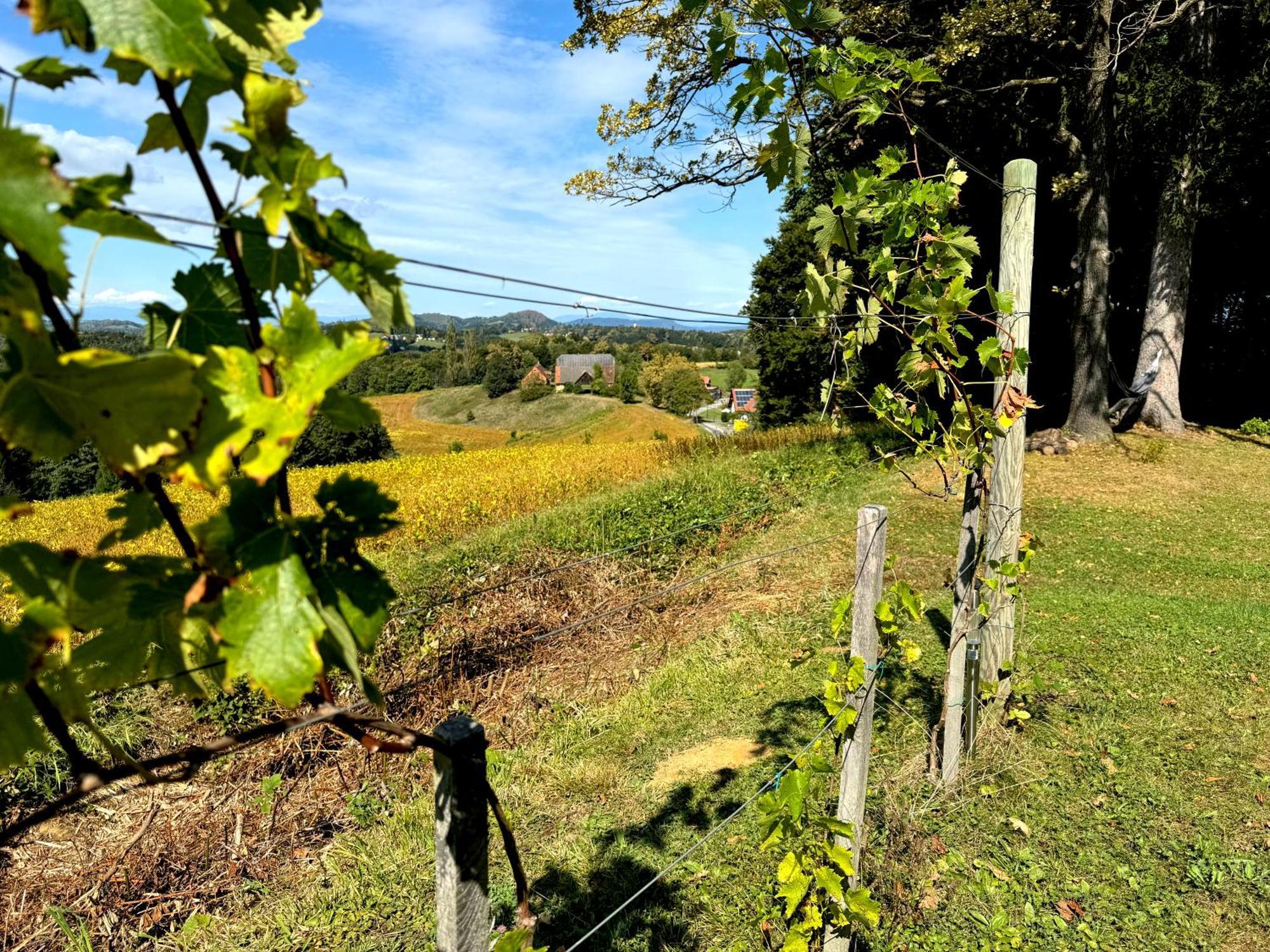 Holiday home Panorama - Gamlitz