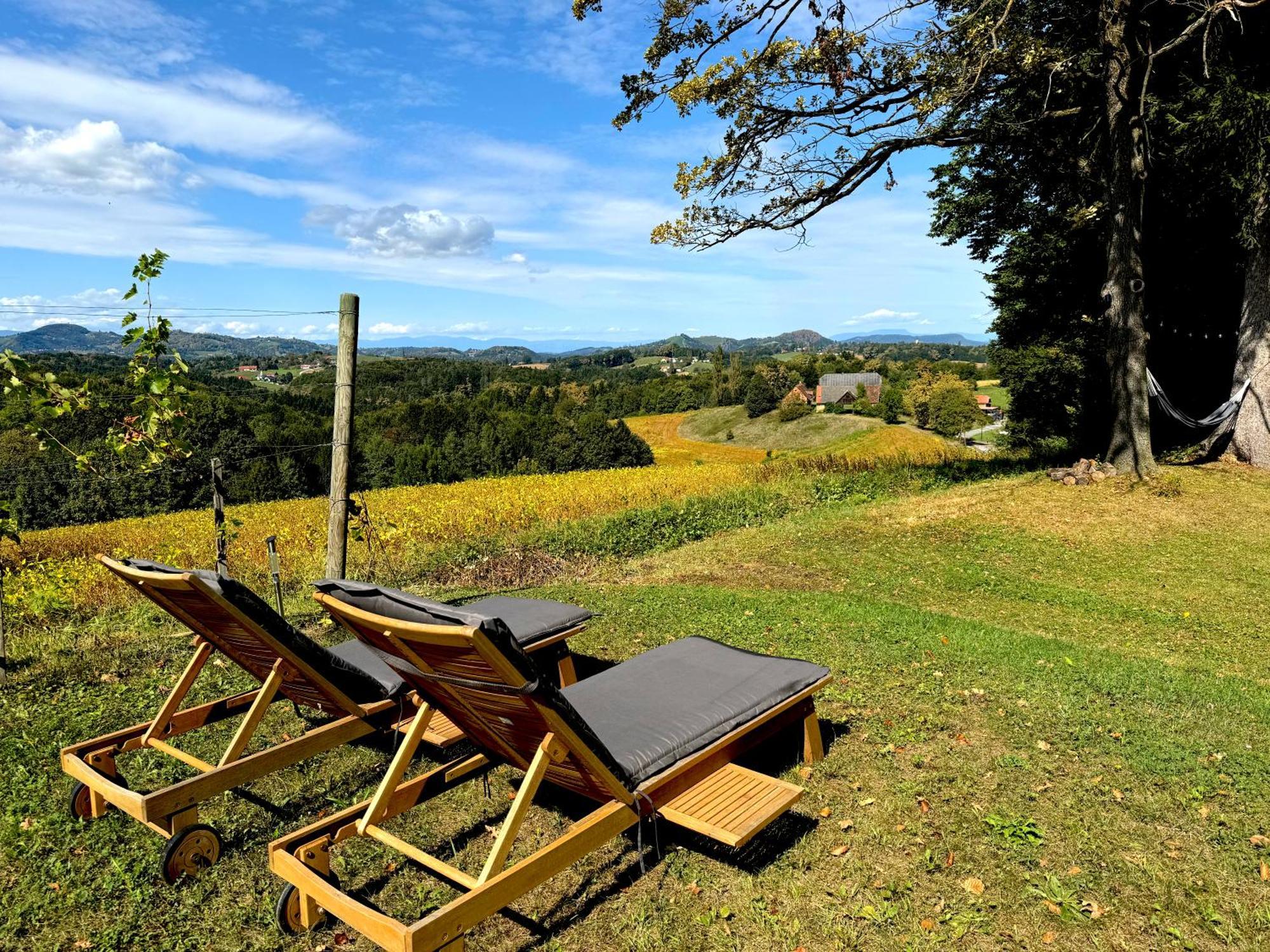 Panorama - Holiday home *