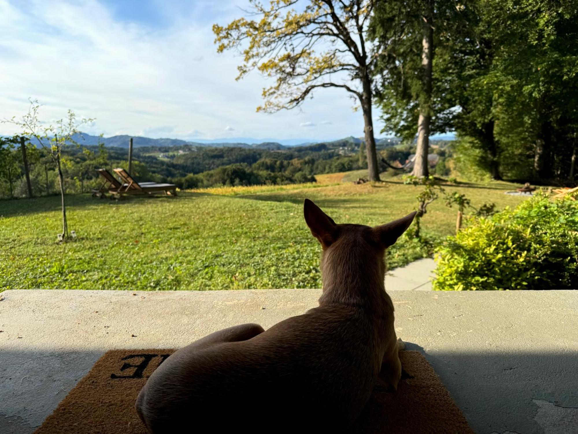 Holiday home Panorama - Gamlitz
